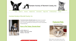 Desktop Screenshot of hsburnettcty.org